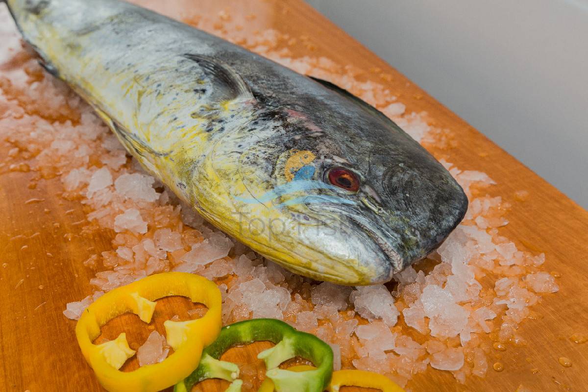 MAHI MAHI WHOLE ROUND Top Fish